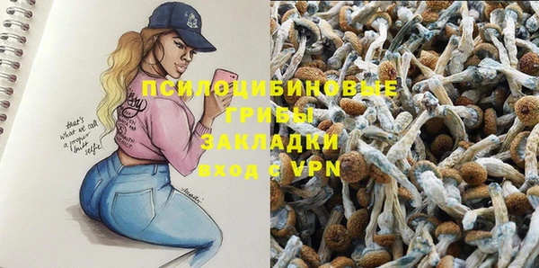 spice Лиски