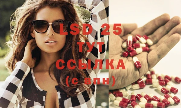 скорость Липки