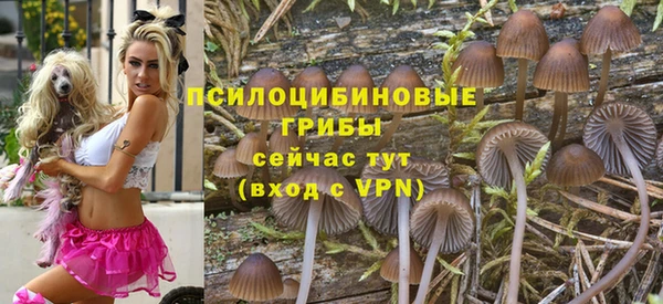 скорость Липки