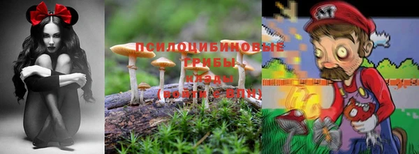 скорость Липки