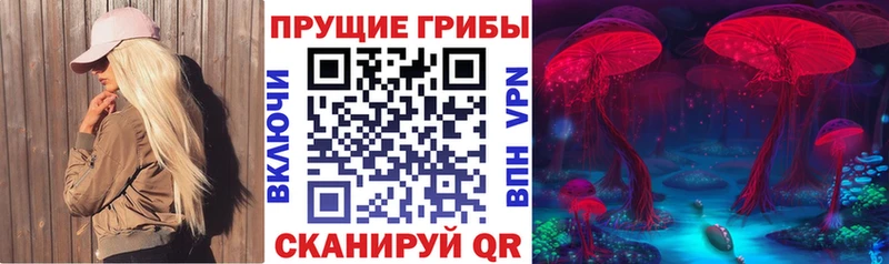 Галлюциногенные грибы прущие грибы  Покров 